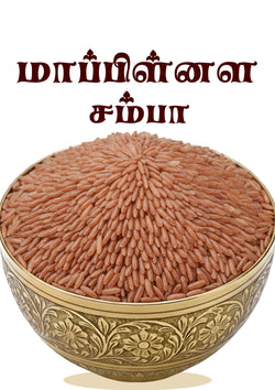Mapillai Samba Rice , மாப்பிள்ளை சம்பா அரிசி