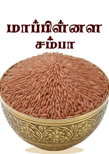 Mapillai Samba Rice , மாப்பிள்ளை சம்பா அரிசி