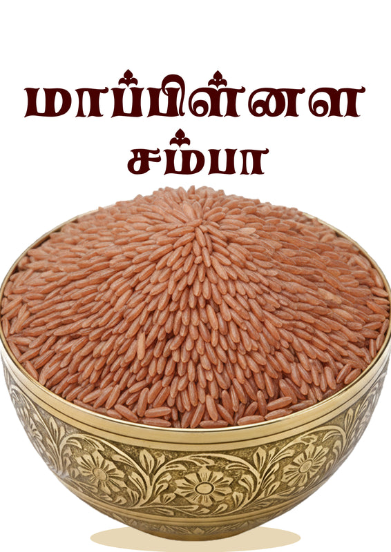 Mapillai Samba Rice , மாப்பிள்ளை சம்பா அரிசி